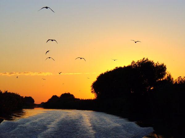 nice things  - deltadunarii89.jpg